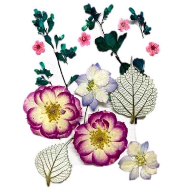 【A-ONE 匯旺】壓花材料 乾燥花材料 壓花 押花 手工壓花 植物 壓花DIY 乾花書籤