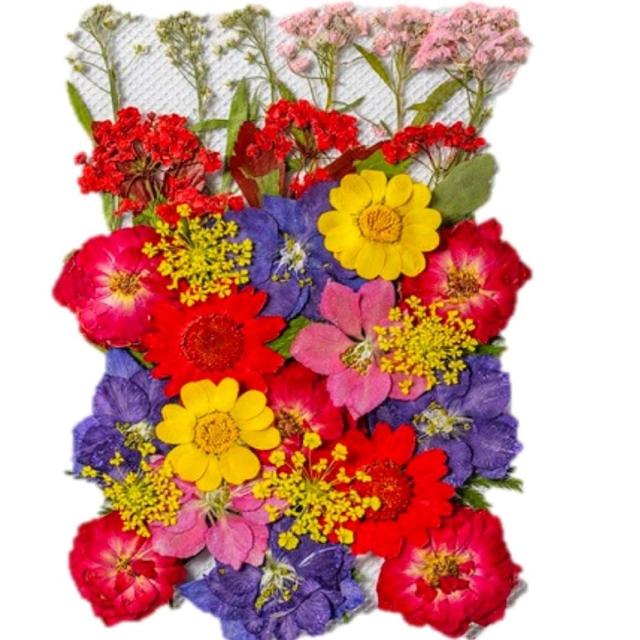 【A-ONE 匯旺】真花壓花 乾燥花 拼貼 貼臉裝飾 新娘妝 少女寫真DIY 壓花材料包
