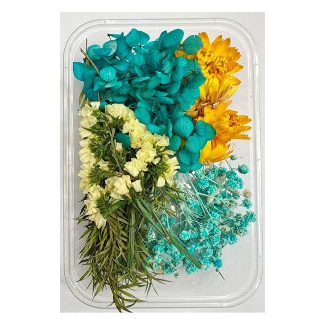 【A-ONE 匯旺】乾燥花材料包 永生花 浮油花 乾燥花DIY 乾燥花藝教學 自然乾燥花材料包 乾燥花材料禮盒(A03)