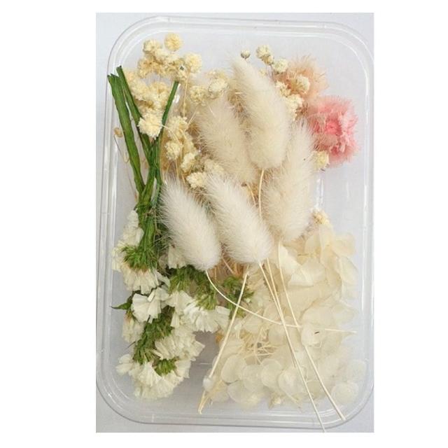【A-ONE 匯旺】乾燥花材料包 永生花 浮油花 乾燥花DIY 乾燥花藝教學 自然乾燥花材料包 乾燥花材料禮盒(A03)