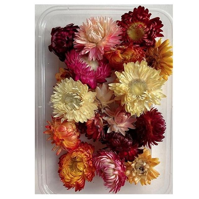 【A-ONE 匯旺】乾燥花材料包 永生花 浮油花 乾燥花DIY 乾燥花藝教學 自然乾燥花材料包 乾燥花材料禮盒(A03)