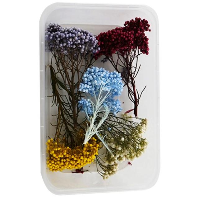 【A-ONE 匯旺】乾燥花材料包 永生花 浮油花 乾燥花DIY 乾燥花藝教學 自然乾燥花材料包 乾燥花材料禮盒(A03)