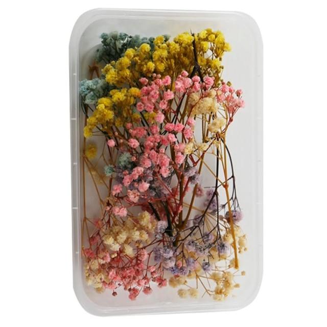 【A-ONE 匯旺】乾燥花材料包 永生花 浮油花 乾燥花DIY 乾燥花藝教學 自然乾燥花材料包 乾燥花材料禮盒(A03)