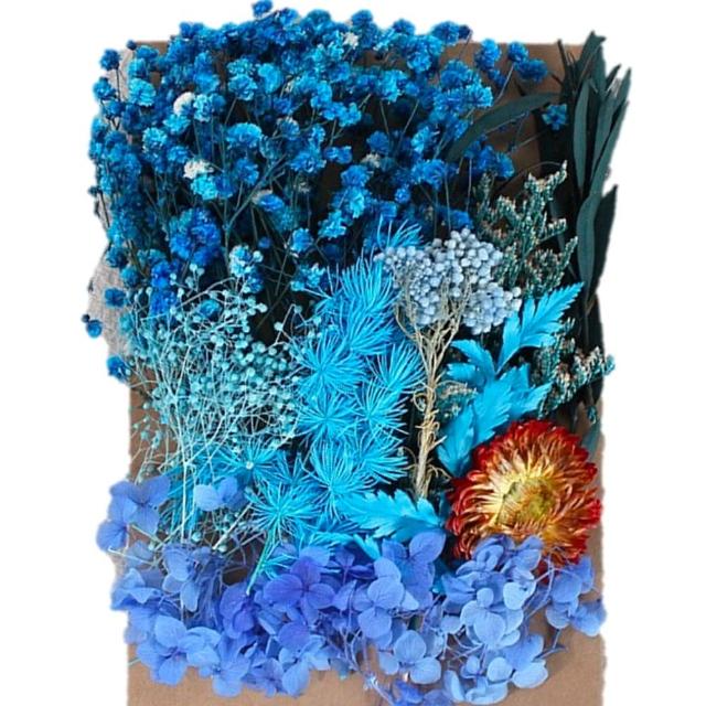 【A-ONE 匯旺】天然乾燥花 材料包 乾燥花材 花藝材料 松果 乾花 永生花 橡實 花瓣 拍照道具 婚禮(C06)