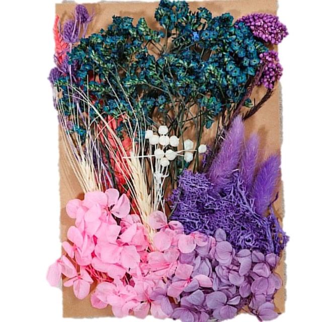 【A-ONE 匯旺】天然乾燥花 材料包 乾燥花材 花藝材料 松果 乾花 永生花 橡實 花瓣 拍照道具 婚禮(C06)