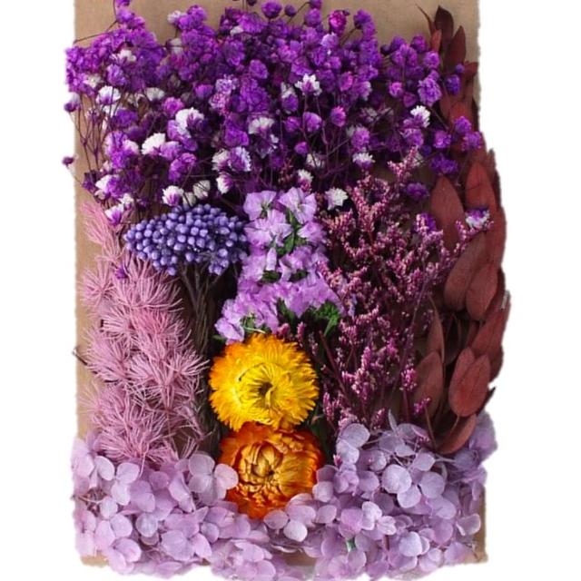 【A-ONE 匯旺】天然乾燥花 材料包 乾燥花材 花藝材料 松果 乾花 永生花 橡實 花瓣 拍照道具 婚禮(C06)