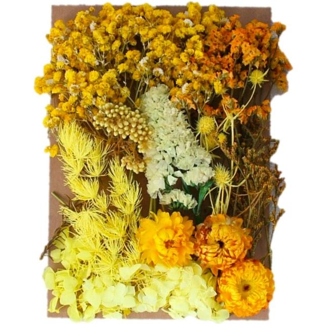 【A-ONE 匯旺】天然乾燥花 材料包 乾燥花材 花藝材料 松果 乾花 永生花 橡實 花瓣 拍照道具 婚禮(C06)