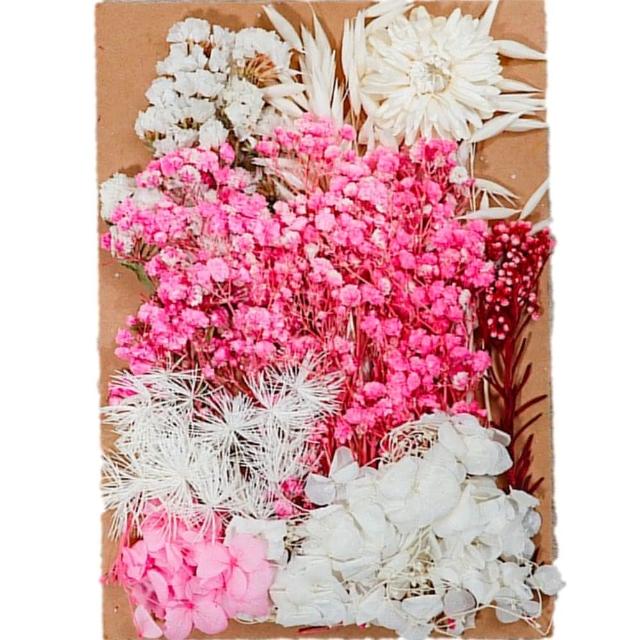 【A-ONE 匯旺】天然乾燥花 材料包 乾燥花材 花藝材料 松果 乾花 永生花 橡實 花瓣 拍照道具 婚禮(C06)