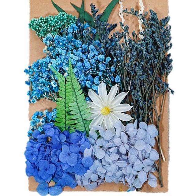 【A-ONE 匯旺】天然乾燥花 材料包 乾燥花材 花藝材料 松果 乾花 永生花 橡實 花瓣 拍照道具 婚禮(C06)