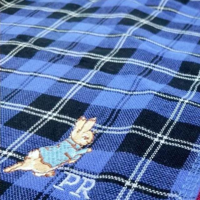 【PETER RABBIT 比得兔】6入深色方格質感方巾(FZ-DC1402PR)