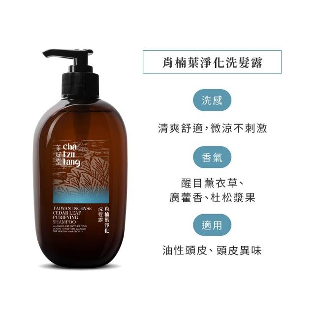 【茶籽堂】三大植萃香氣洗髮露500mL｜三款調理任選(肖楠葉/馬栗樹/水芙蓉/控油保濕)