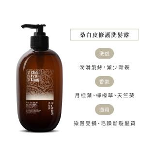 【茶籽堂】草本植萃養護洗髮露500mL｜三款調理任選(錦葵豐盈蓬鬆/桑白皮染燙修護/紫草強效控油)