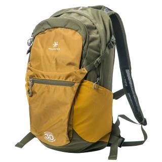 【PolarStar 桃源戶外】CITY ROVER城市輕旅包-30週年限定款 25L『共三色』P25720(戶外.登山背包.後背包)