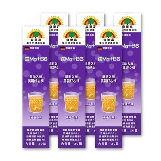 【SUNLIFE 森萊富】德國原裝  鎂Mg+B6維他命發泡錠(橘子口味 X 6入/共120錠)