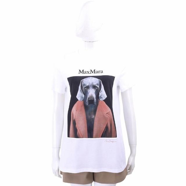 【MaxMara】CIPRIA 威瑪臘犬TEE T恤-3色可選(CIPRIA威瑪臘犬T 上衣 短袖 棉T 狗狗)