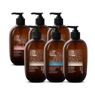 【茶籽堂】植萃調理養護洗髮組500mLx2入｜六款任搭(豐盈蓬鬆/染燙修護/清爽控油/保濕補水)