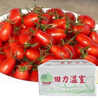 【黑貓嚴選】桃旺農園-產銷履歷玉女小番茄1盒(3000g/盒；水果禮盒；伴手禮)