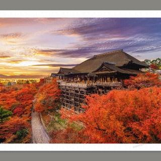 【Pintoo】日本京都 - 清水寺 - 拼圖1000片