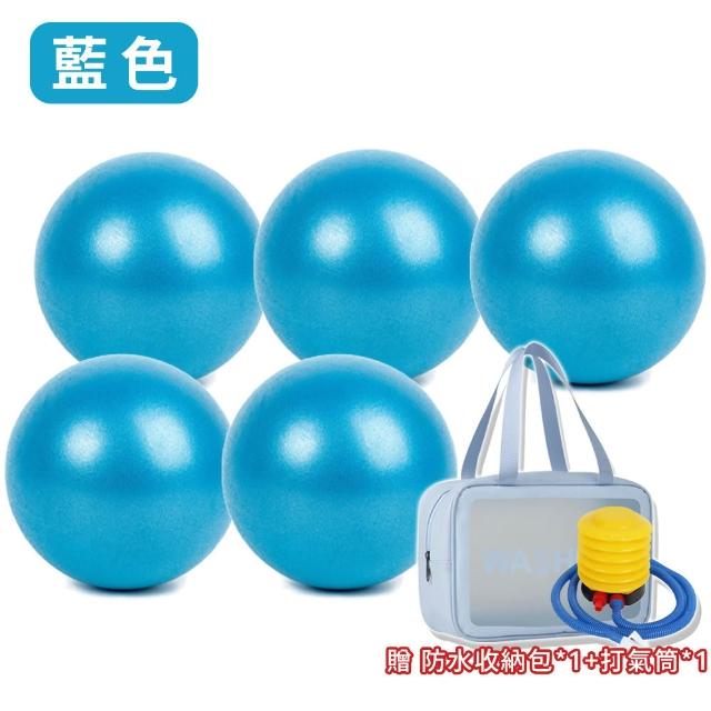 【keep power】超值組｜25cm加厚瑜珈球5入組+打氣筒+收納袋 ( 皮拉提斯球 防爆 瑜珈球 彈力健身球 抗力球 )