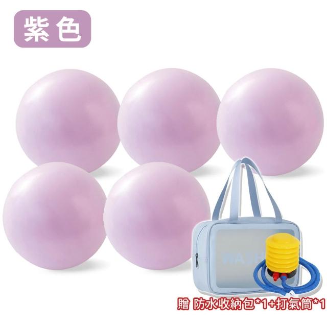 【keep power】超值組｜25cm加厚瑜珈球5入組+打氣筒+收納袋 ( 皮拉提斯球 防爆 瑜珈球 彈力健身球 抗力球 )