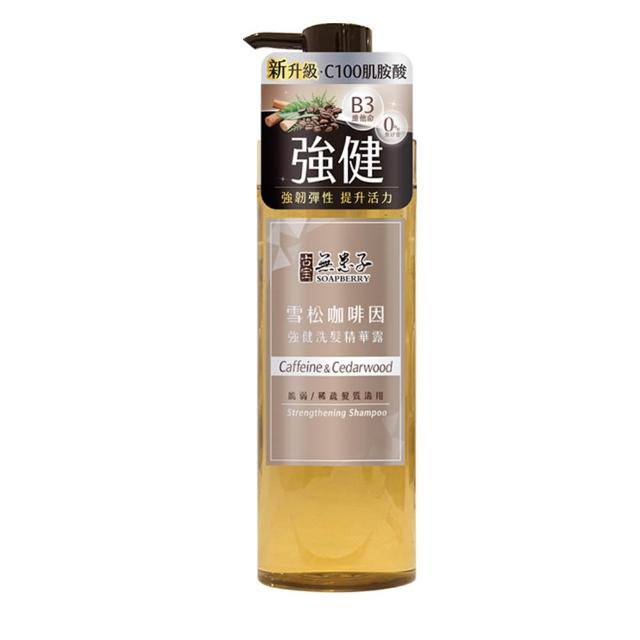 【古寶無患子】3瓶入 成分升級新上市-無矽靈洗髮精露530g(強健髮根/豐盈髮絲/潤澤柔順/控油去屑)