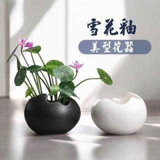 花盆-花器- momo購物網- 好評推薦- 2026年6月