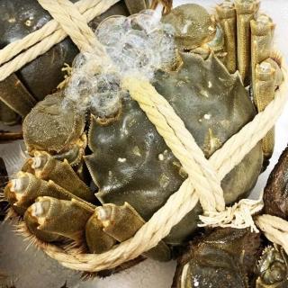 【RealShop】正宗活體江蘇公蟹紅膏大閘蟹 2A級 6隻入(每隻約5.7-6.2兩 不含繩重 死蟹包換 真食材本舖)